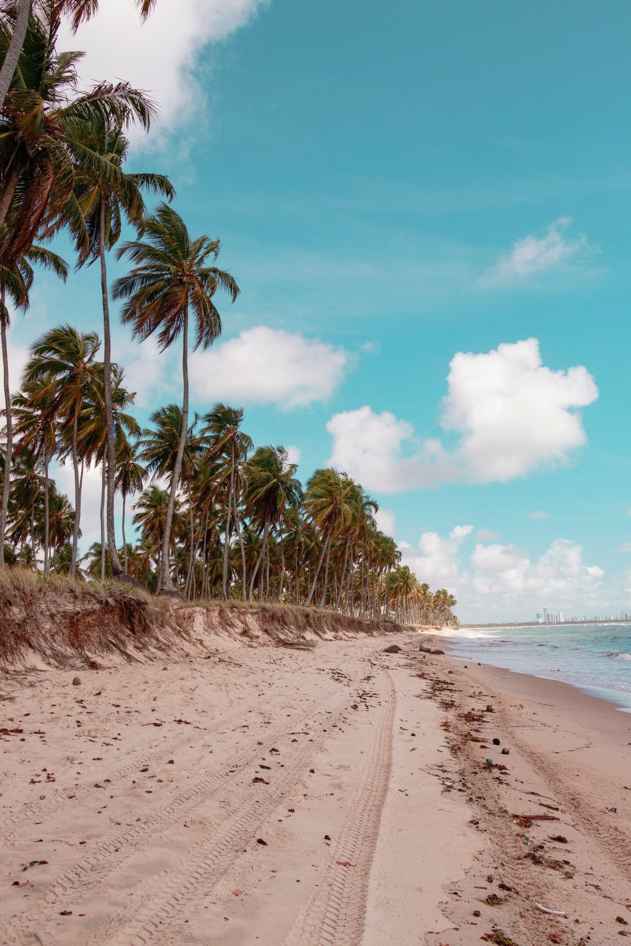 Vista incrível das águas claras e coqueirais nas Praias do Cabo de Santo Agostinho em Pernambuco